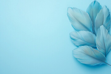 Obraz premium Banner. Blue Feathers on a Blue Pastel Background. Pastel Colors. Top View. Beautiful Delicate Background. With Copy Space.