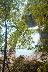 Obraz premium Rocky mountain with trees and hills. The trees are green and yellow. The picture shows a peaceful and serene mood.