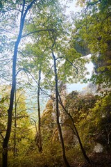 Rocky mountain with trees and hills. The trees are green and yellow. The picture shows a peaceful and serene mood.