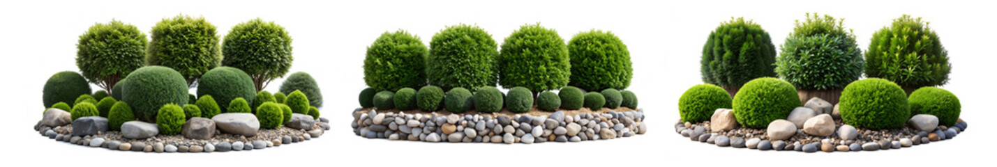 Decorative Rock Garden with Boxwood, Dwarf Pine, and Juniper Shrubs. Ideal for Outdoor Landscaping. Isolated on White Background.