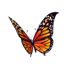 butterfly vector illustration