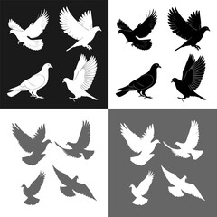 Pigeon Silhouettes in Flight and Perched - Black and White Vector Set