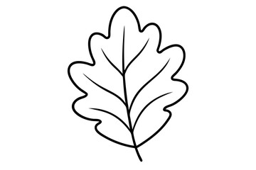 "Minimal Oak Leaf Line Art for Eco-Friendly and Nature-Inspired Branding"

