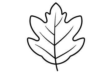 "Minimal Oak Leaf Line Art for Eco-Friendly and Nature-Inspired Branding"

