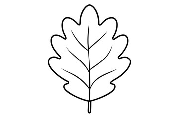 "Minimal Oak Leaf Line Art for Eco-Friendly and Nature-Inspired Branding"

