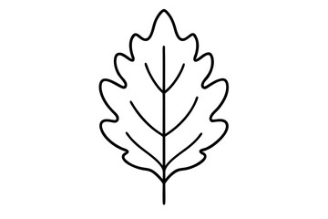 "Minimal Oak Leaf Line Art for Eco-Friendly and Nature-Inspired Branding"

