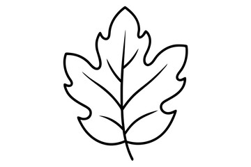 "Minimal Oak Leaf Line Art for Eco-Friendly and Nature-Inspired Branding"

