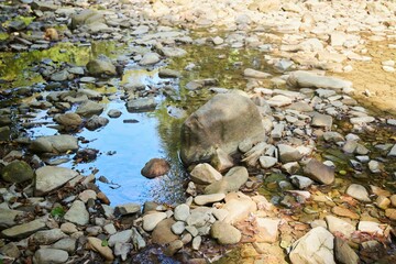 Water in a small mountain river in autumn, low water
