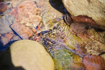 Water in a small mountain river in autumn, low water