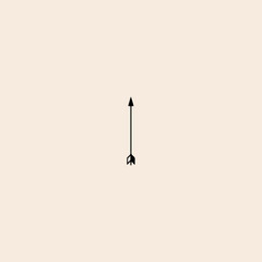 Arrows icon flat vector design. 