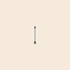 Arrows icon flat vector design. 