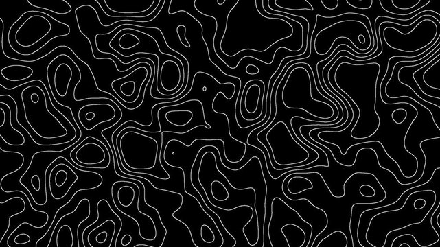 Topographic Map 4K Wallpaper Animation for Modern and Geometric Visuals