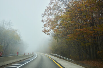 The road is in the fog. Atmospheric phenomenon