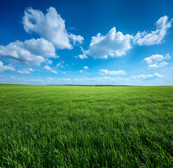 a green, grassy field under the blue sky,