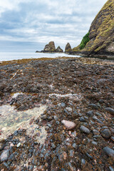 spiaggia sotto il castello di Dunnottar, Scozia