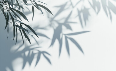 A pattern of shadows from bamboo leaves on a white wall background, with copy space, creating an abstract nature wallpaper in a minimalistic style. The soft light and shadow effects emphasize
