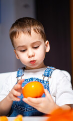Young boy examines small orange fruit. A child in overalls inspects a bright orange fruit while...