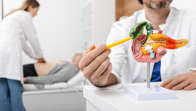 Doctor showing gallbladder on anatomical model of pancreas with gallbladder for male patient during abdominal examination in medical office. Treatment of gallbladder diseases and cholelithiasis