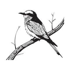 Bird Vector