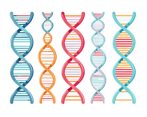 dna strand vector set