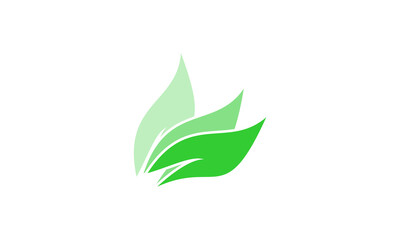 Leaf Design Logo