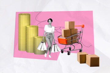 Contemporary art banner collage of happy girl shopaholic hold bags purchase coin earnings trolley...