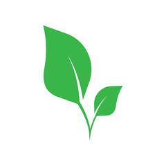 Fototapeta premium green leaf icon