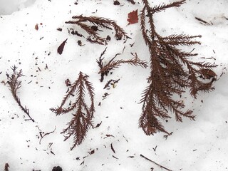 snow winter ice