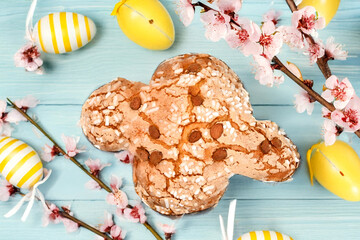 Colomba pasquale or Easter Dove is a traditional Italian dessert prepared with sourdough, almonds and candied fruit top view on colored background