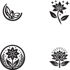 Fototapeta premium set of floral elements