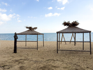 palm trees on the beach
