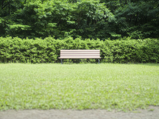 Tranquil park bench surrounded by lush green foliage on a sunny day