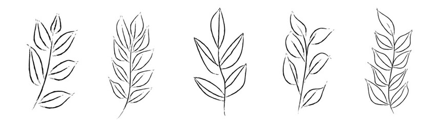 Set of doodle sketch twigs, plants. Different hand drawn vector floral elements. Illustration for decoration, wedding invitations, poster, website and border isolated on white background