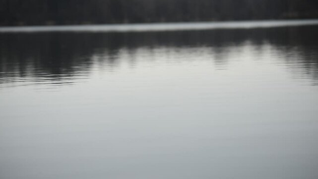Stille am Baggersee