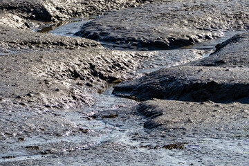 Mud at low tide