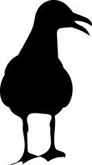 seagull black silhouettes, vector