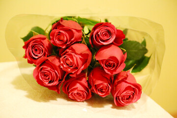 Bouquet of red roses in cellophane on a yellow background. Flora plants flowers.