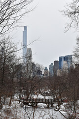 Im Central Park mit Blick auf Manhattan