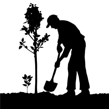 man planting tree silhouette clip art preview