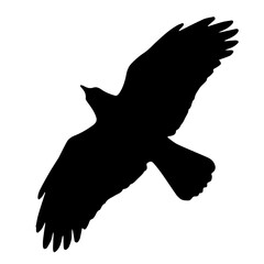 Silhouette of a Bird in Flight with Outstretched Wings, Freedom, Flight, and Graceful Movement, Beauty of Birds in Nature, Their Majestic Soaring Abilities.