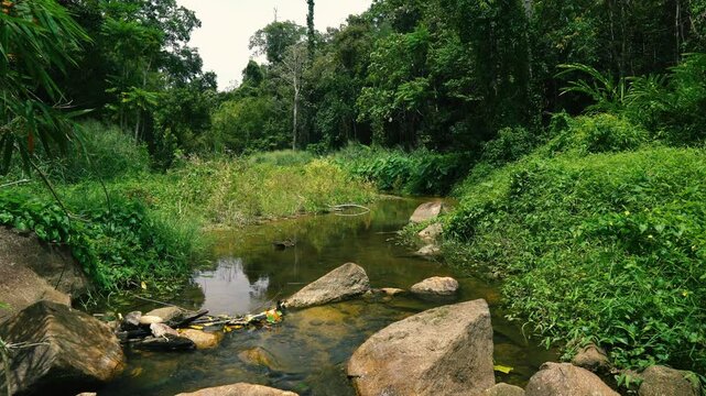 The source of a mountain river in the jungle