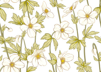 Forest Anemone flowers, decorative flowers and leaves Seamless pattern, background. Vector illustration. In botanical style