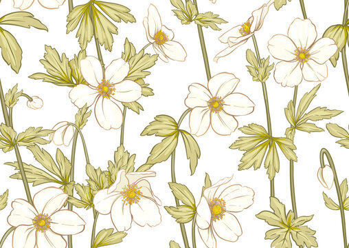 Forest Anemone flowers, decorative flowers and leaves Seamless pattern, background. Vector illustration. In botanical style