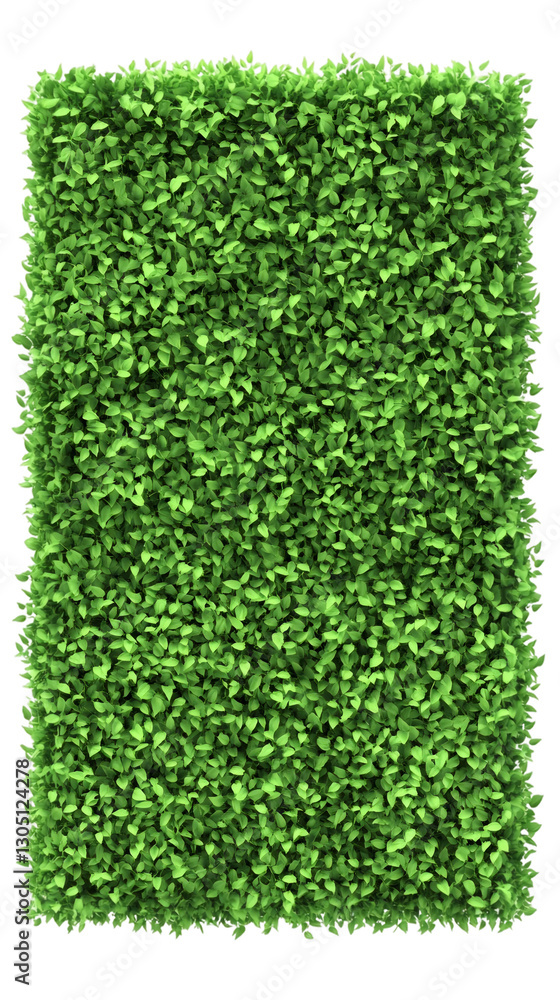 Poster green wall with many small leaves creating a vertical garden effect, isolated on transparent backgro