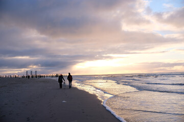 happy couple with dog on the beach