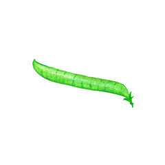 A single green pea pod showcasing its vibrant color and smooth texture.