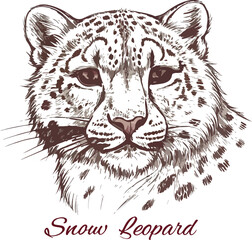 Fototapeta premium Illustration of realistic leopard head.Generative AI.