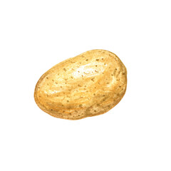 A simple illustration of a potato, showcasing its earthy texture and natural shape.