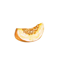 A watercolor illustration of a slice of melon, showcasing its texture and seeds.