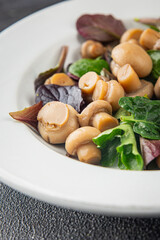 Champignon salad green lettuce canned mushrooms fresh delicious gourmet food background on the table rustic food top view copy space keto and paleo diet vegetarian and vegan food